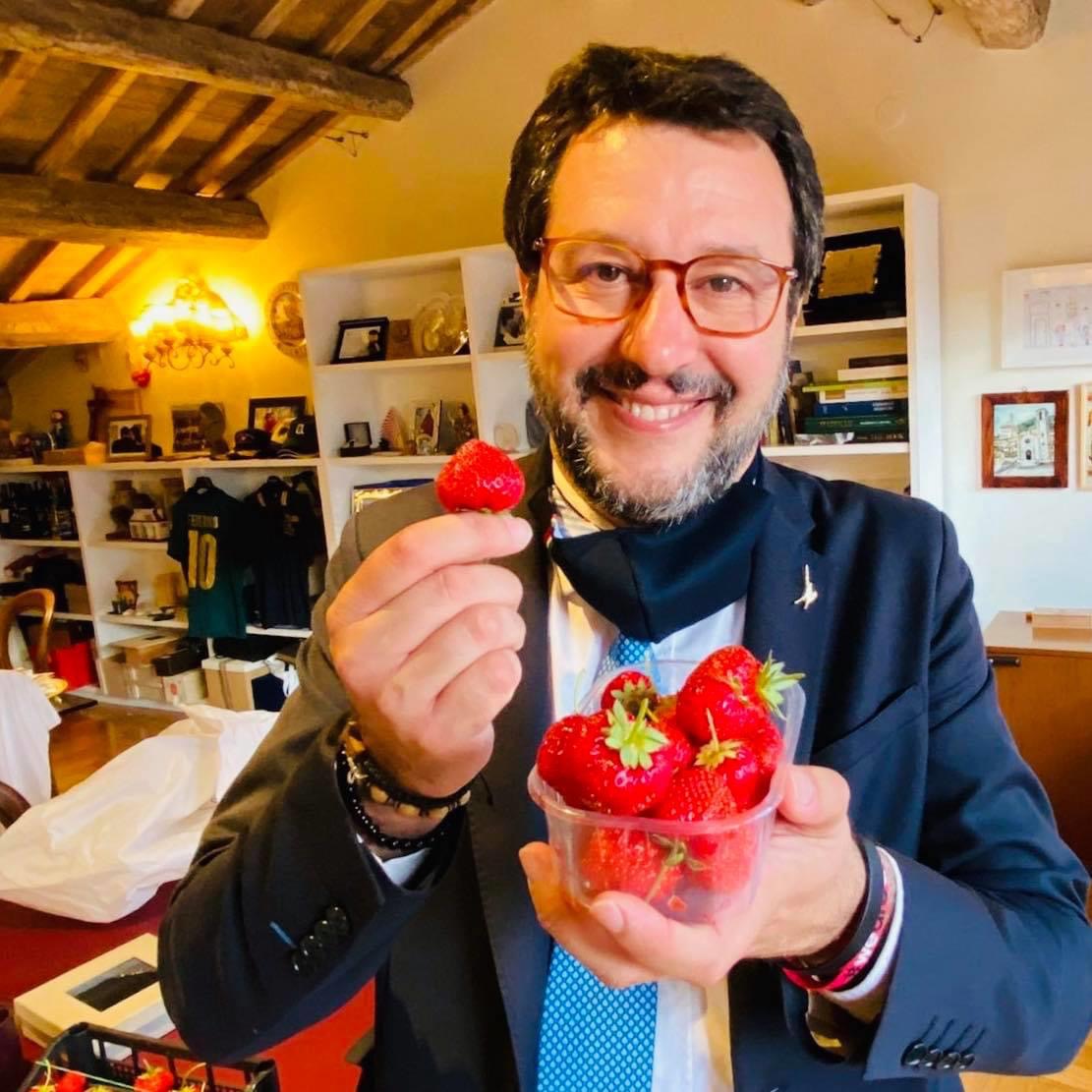 Salvini meloni