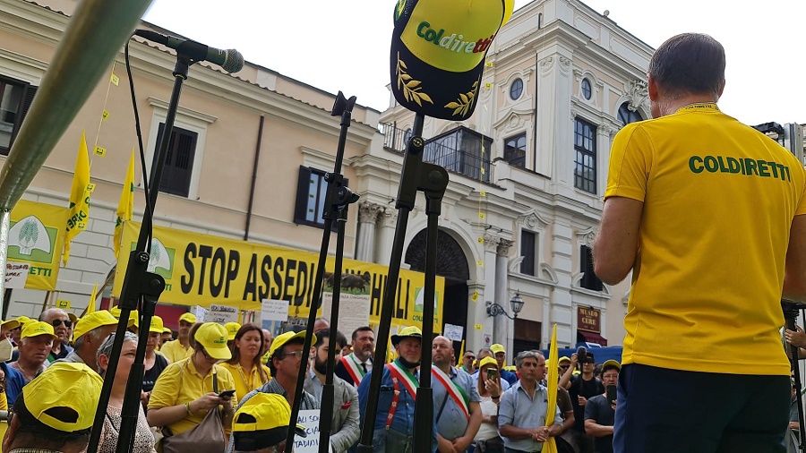 coldiretti a roma