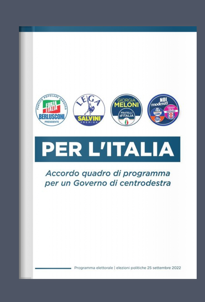 Programmi elettorali