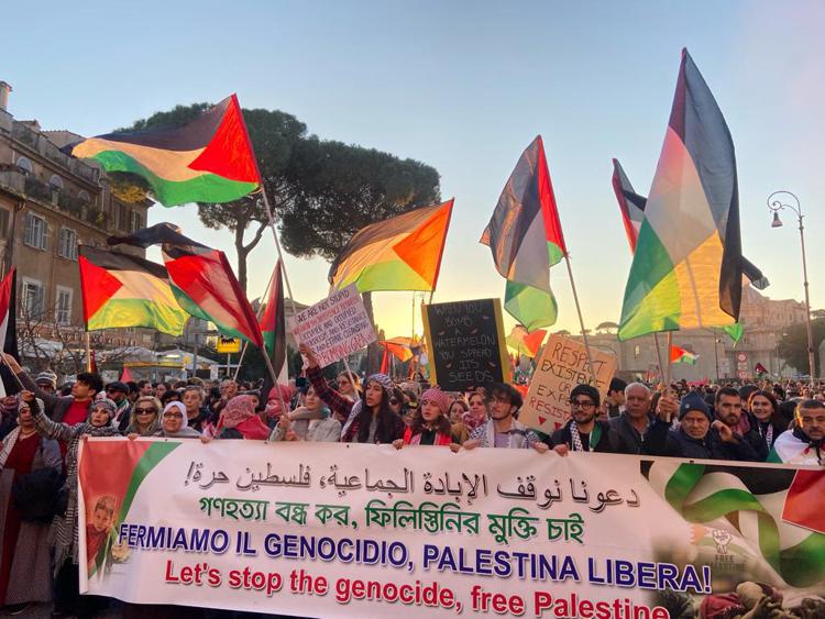 roma pro palestina