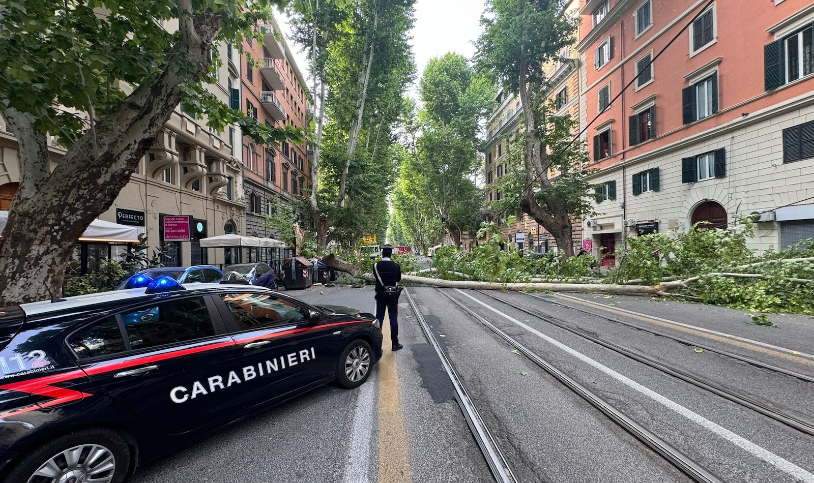 Albero caduto viale regina margherita carabinieri