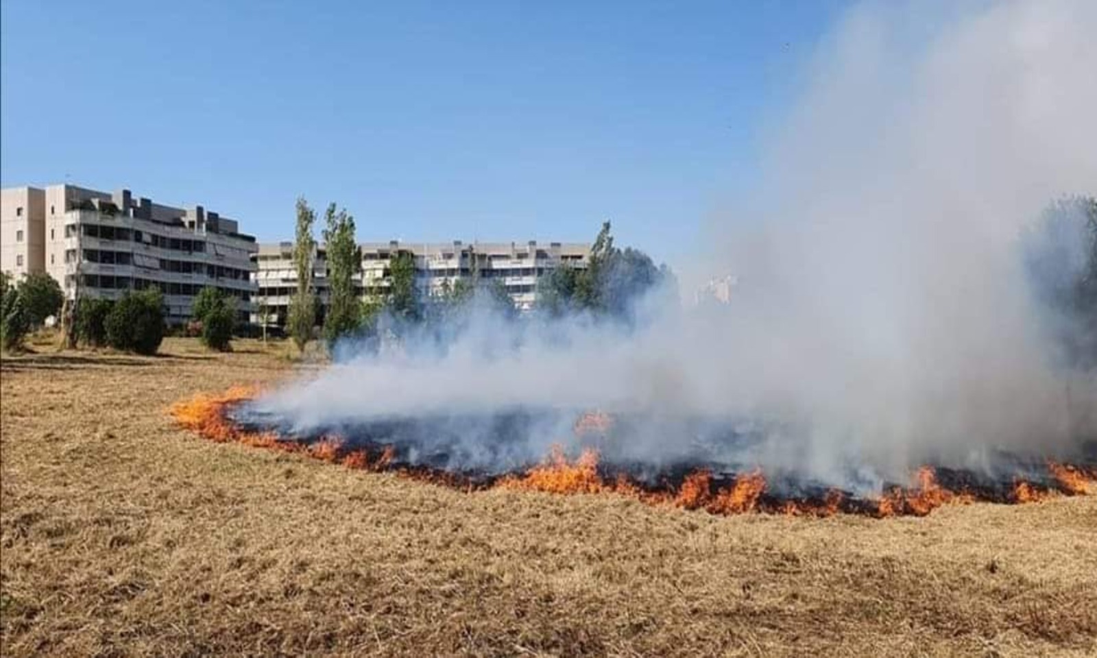 Incendi a Roma