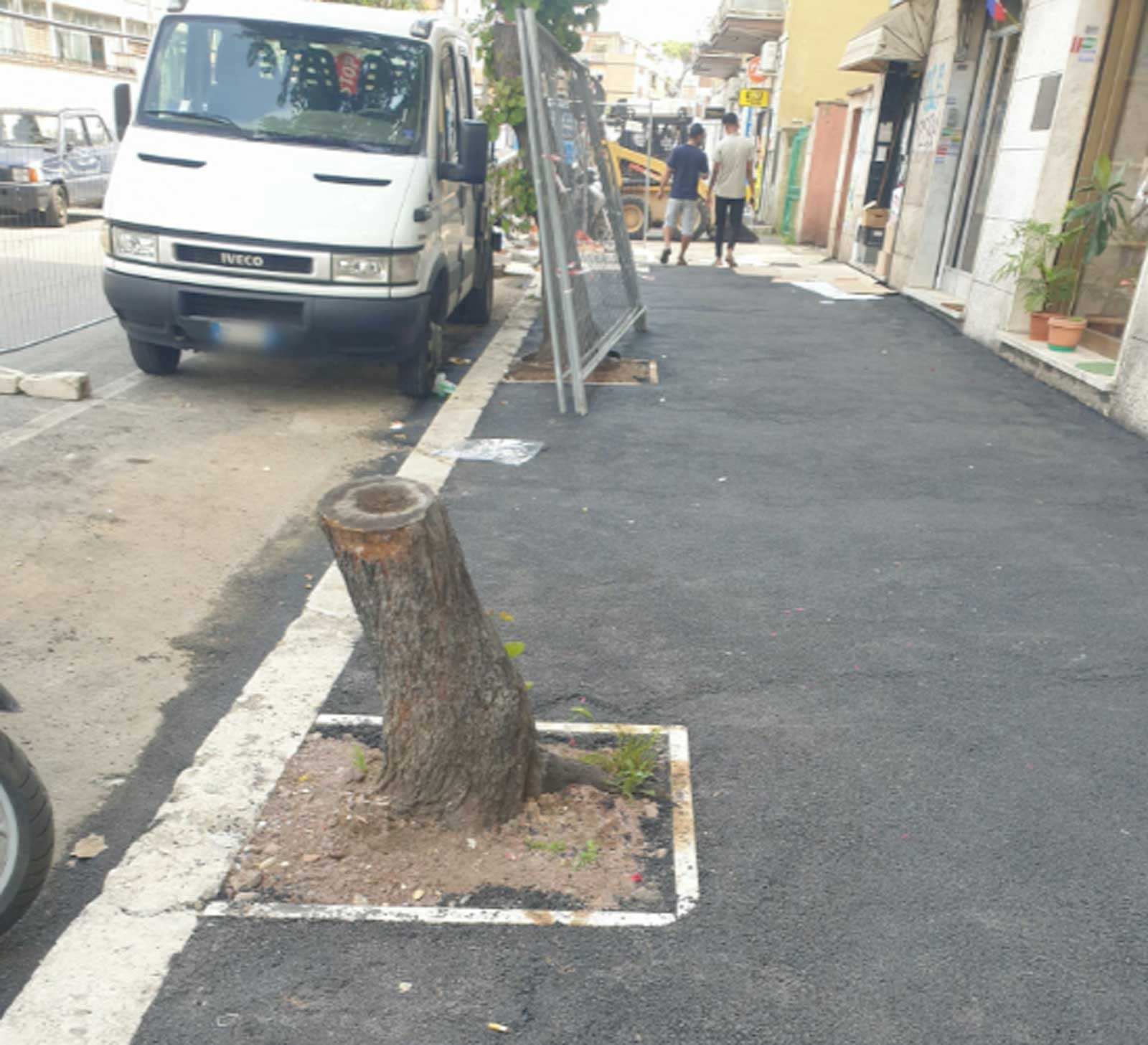 Taglio degli alberi nel municipio XI