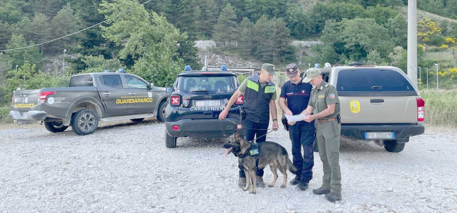 Carabinieri, Forestali e altre forze dell'ordine in campo, con la Regione Lazio