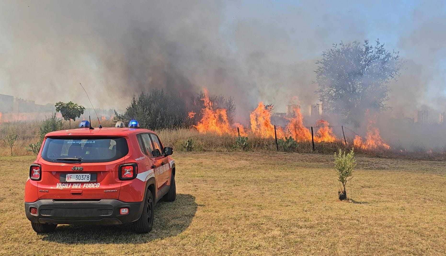 Incendio parco delle Sabine