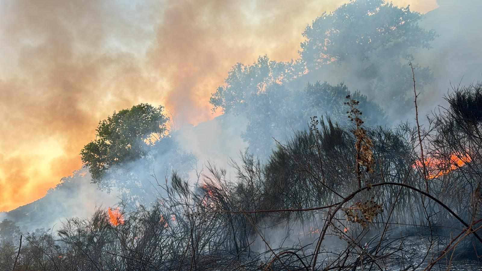 Incendio a Nettuno a ridosso del camping