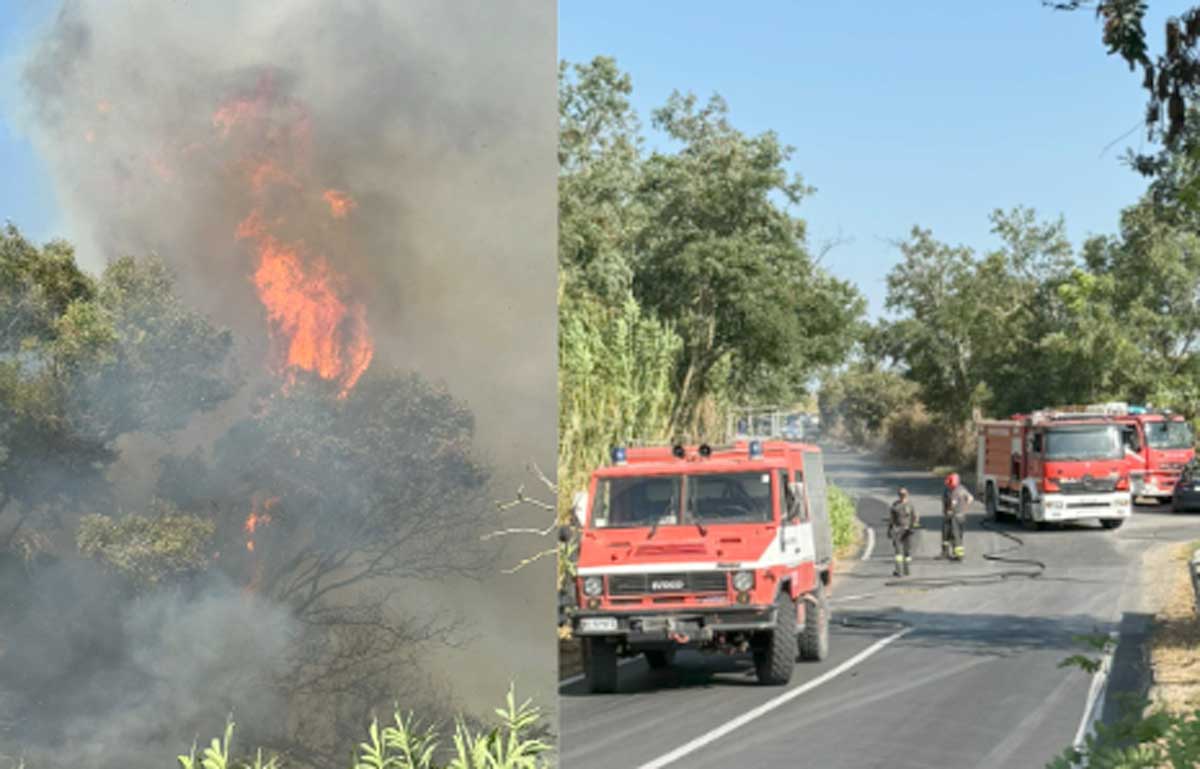 La pineta di Fiumicino, accanto l'aeroporto, che brucia, mezzi al lavoro