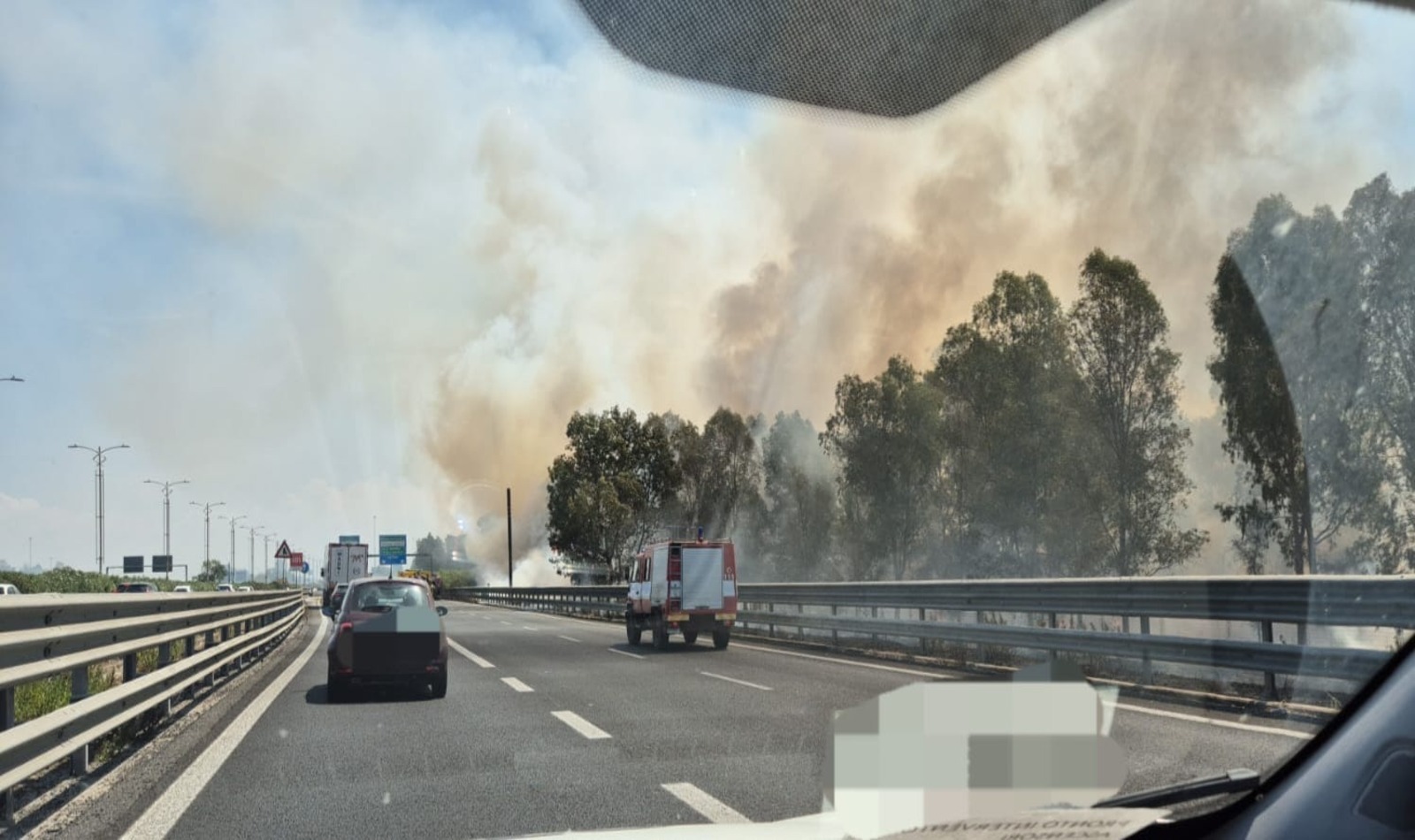 Incendio boschivo