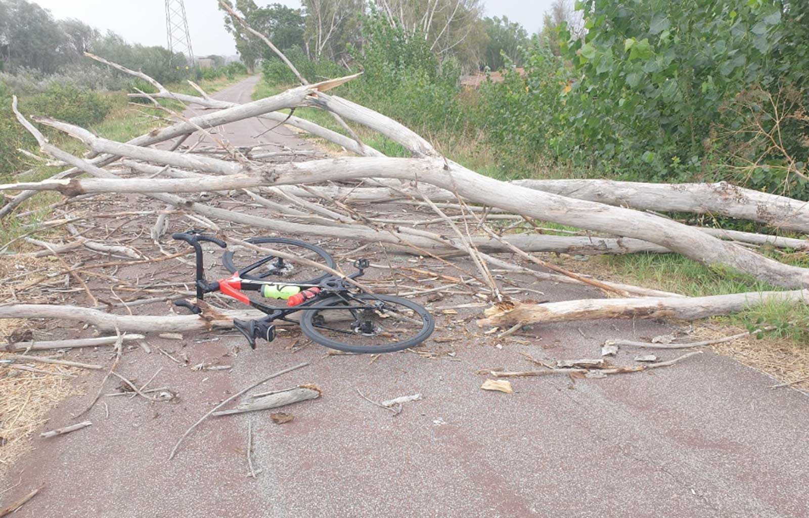 Il ciclista travolto a Roma sulla ciclabile altezza Tor di Valle