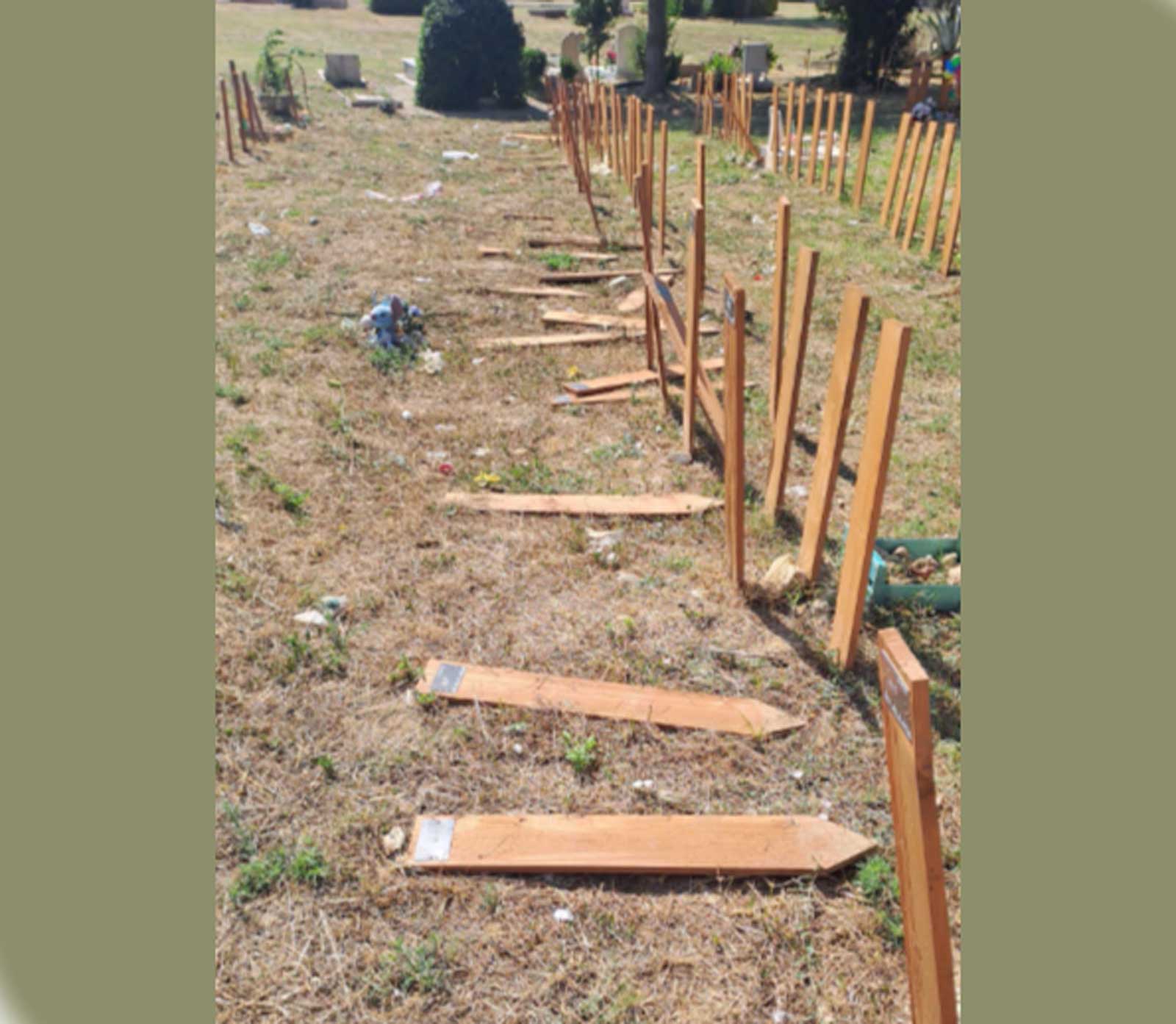 Roma, il cimitero Flaminio nel degrado, l'area dedicata ai feti in totale abbandono