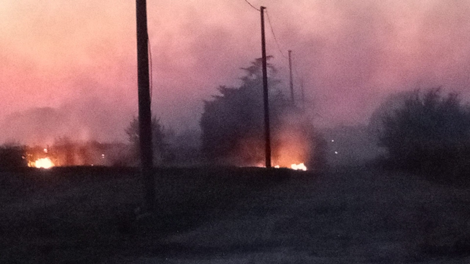 ardea incendio Salzare