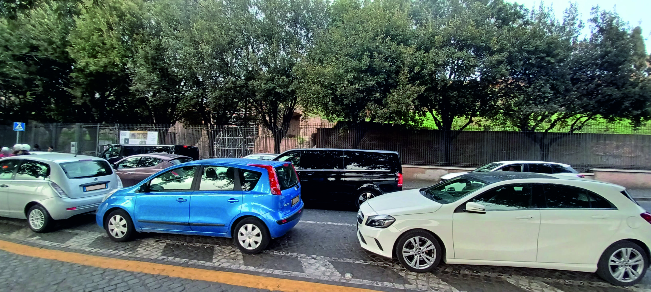 Ingorgo a Via dei Cerchi, nei pressi dell’ingresso della Schola Praeconum, con vista sui lecci.