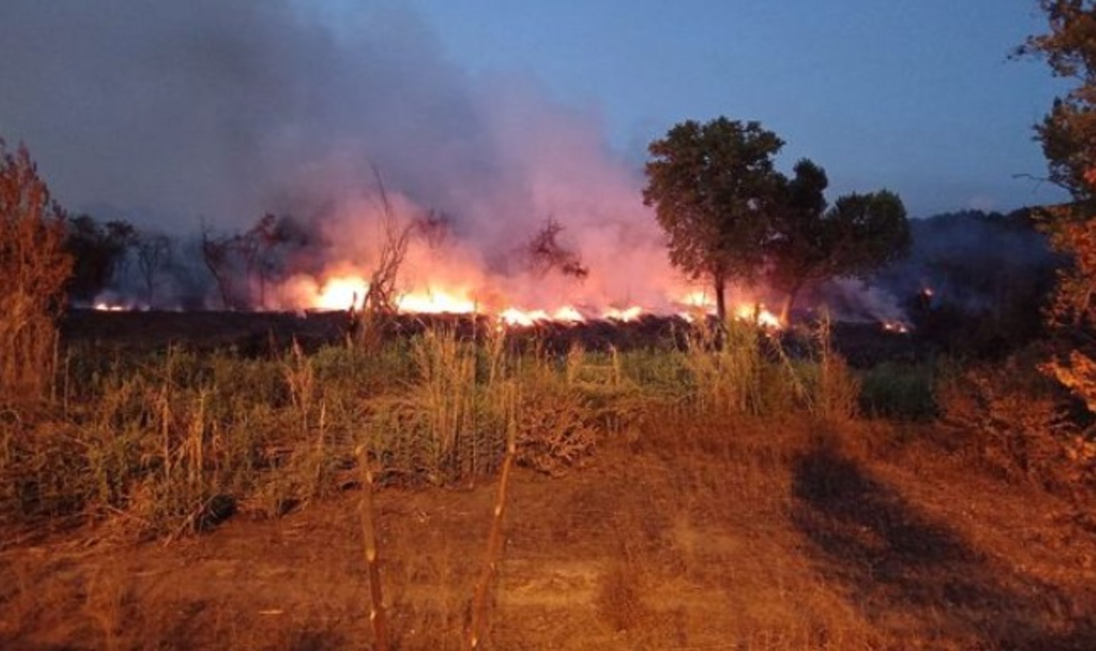 Incendio Ponte Mammolo