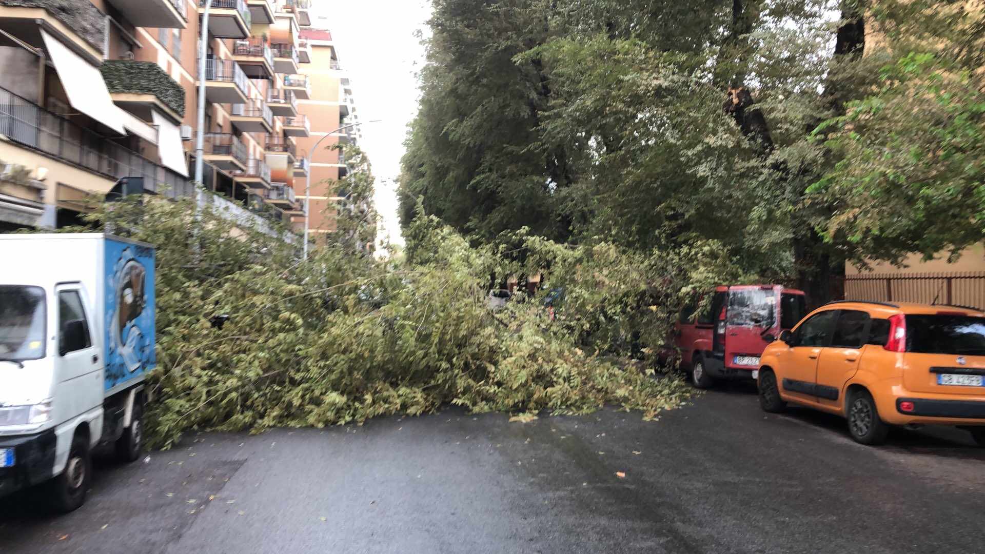 Ramo di un albero cade al Prenestino e danneggia tre veicoli parcheggiati