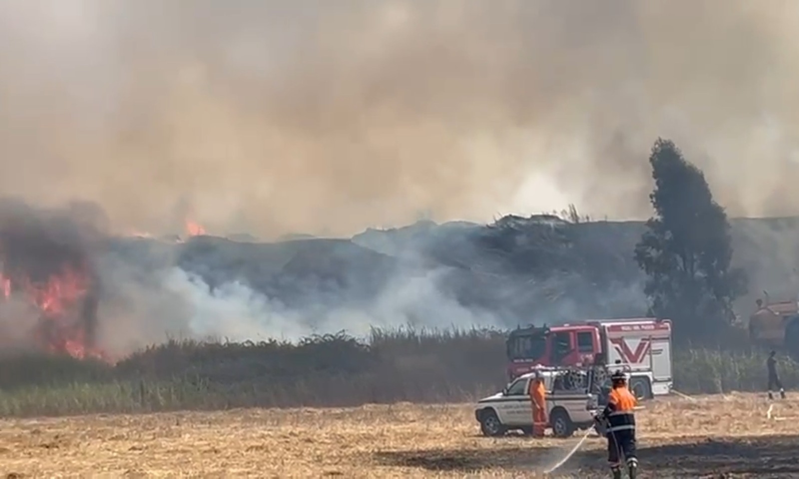 Maxi incendio alla Pisana