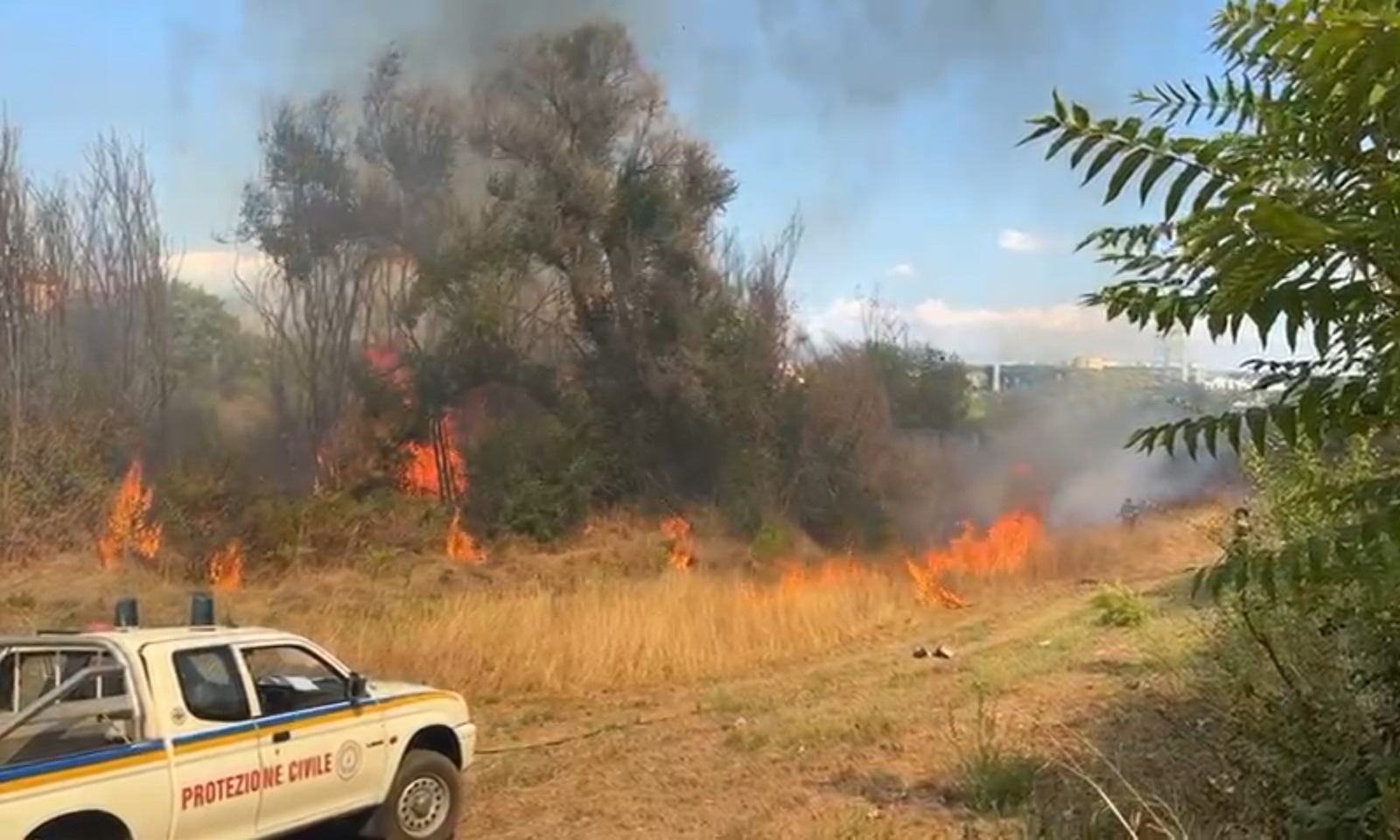 Incendio boschivo a Torrespaccata