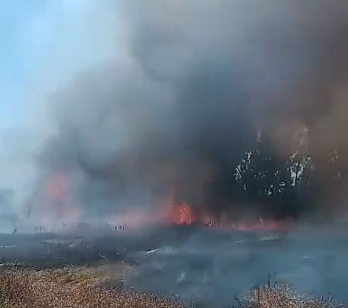 Incendio Tor Cervara