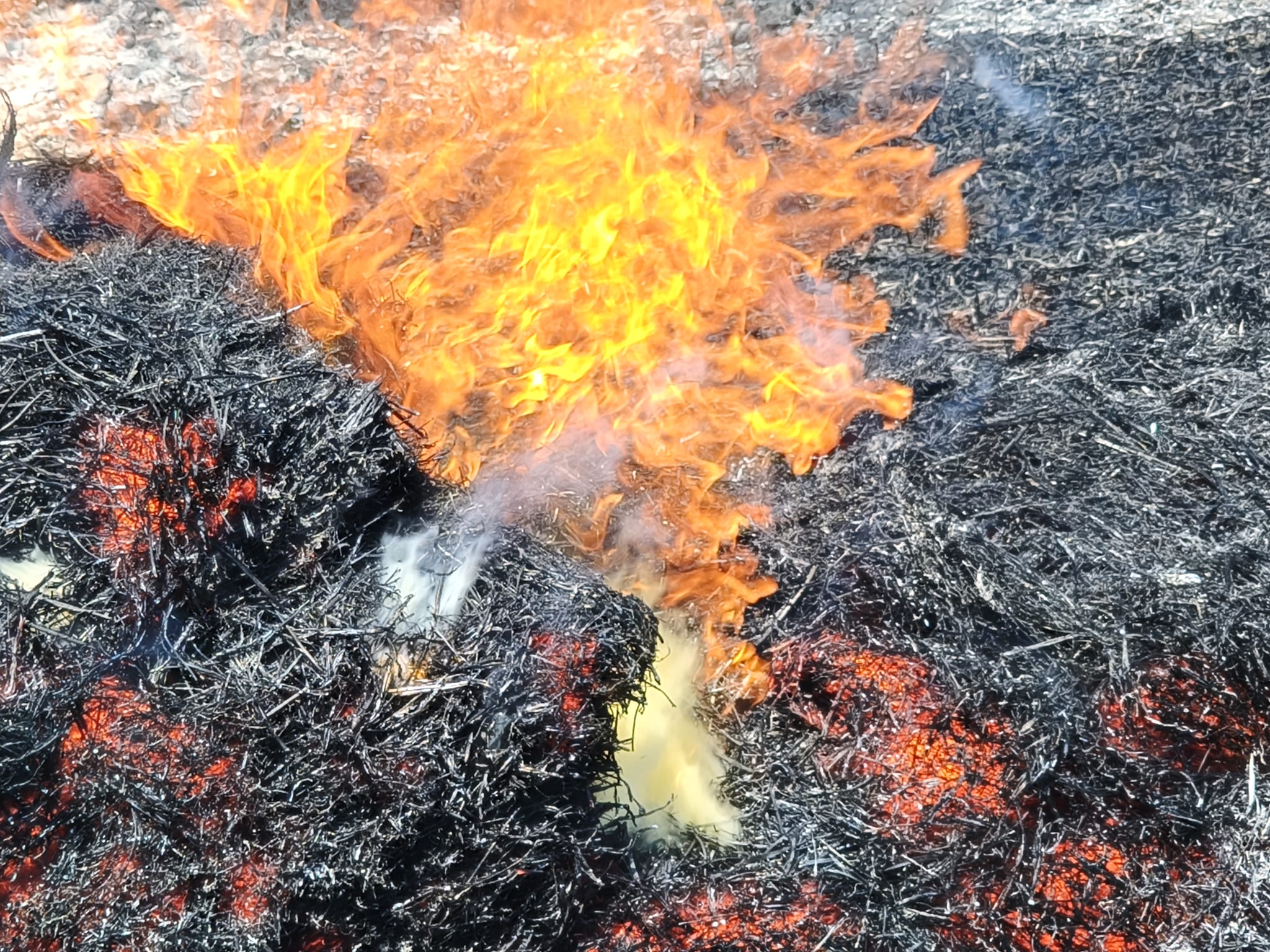 Incendio Santa Palomba