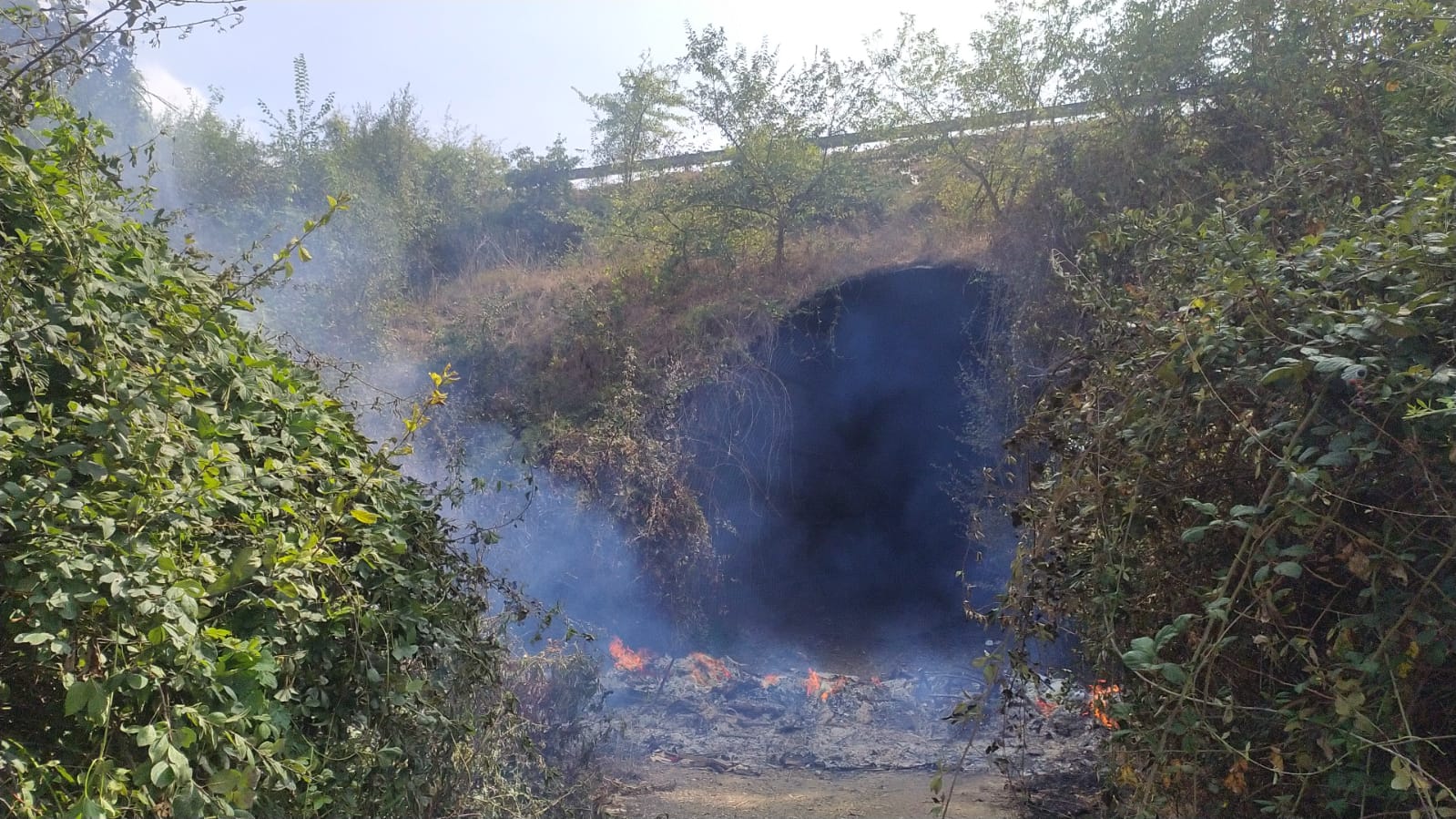 Incendio Pontina Vecchia