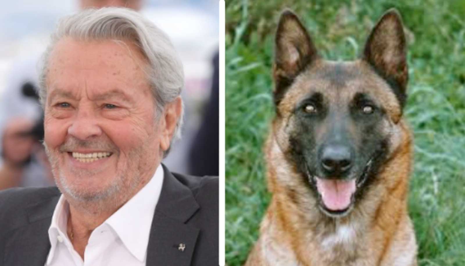 A sinistra, Alain Delon, a destra, il suo cane