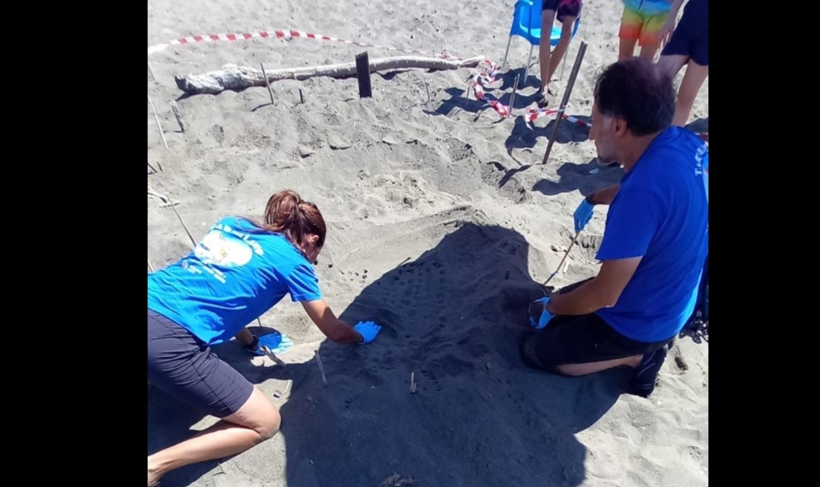 Nido tartarughe marine a Latina