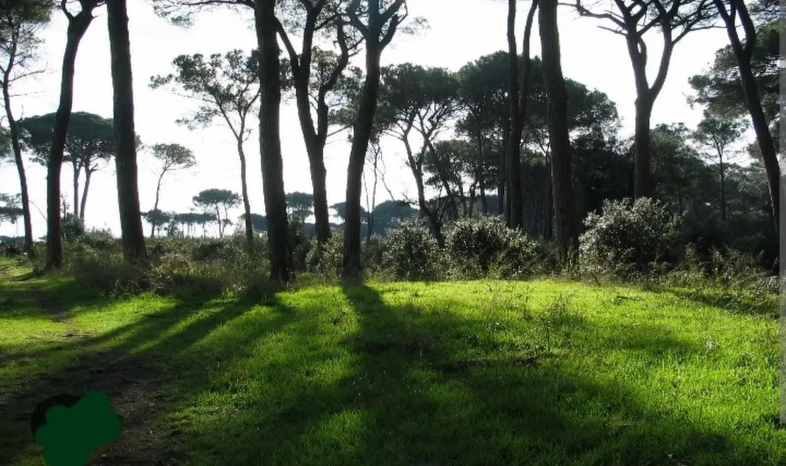 Ostia in corsa per l'ambiente