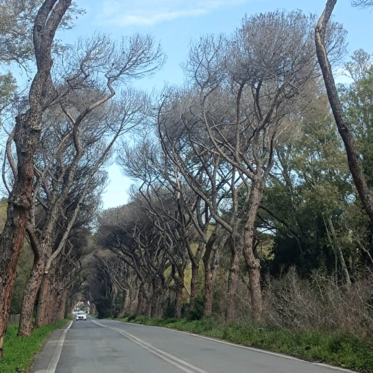 parco di Castel Fusano