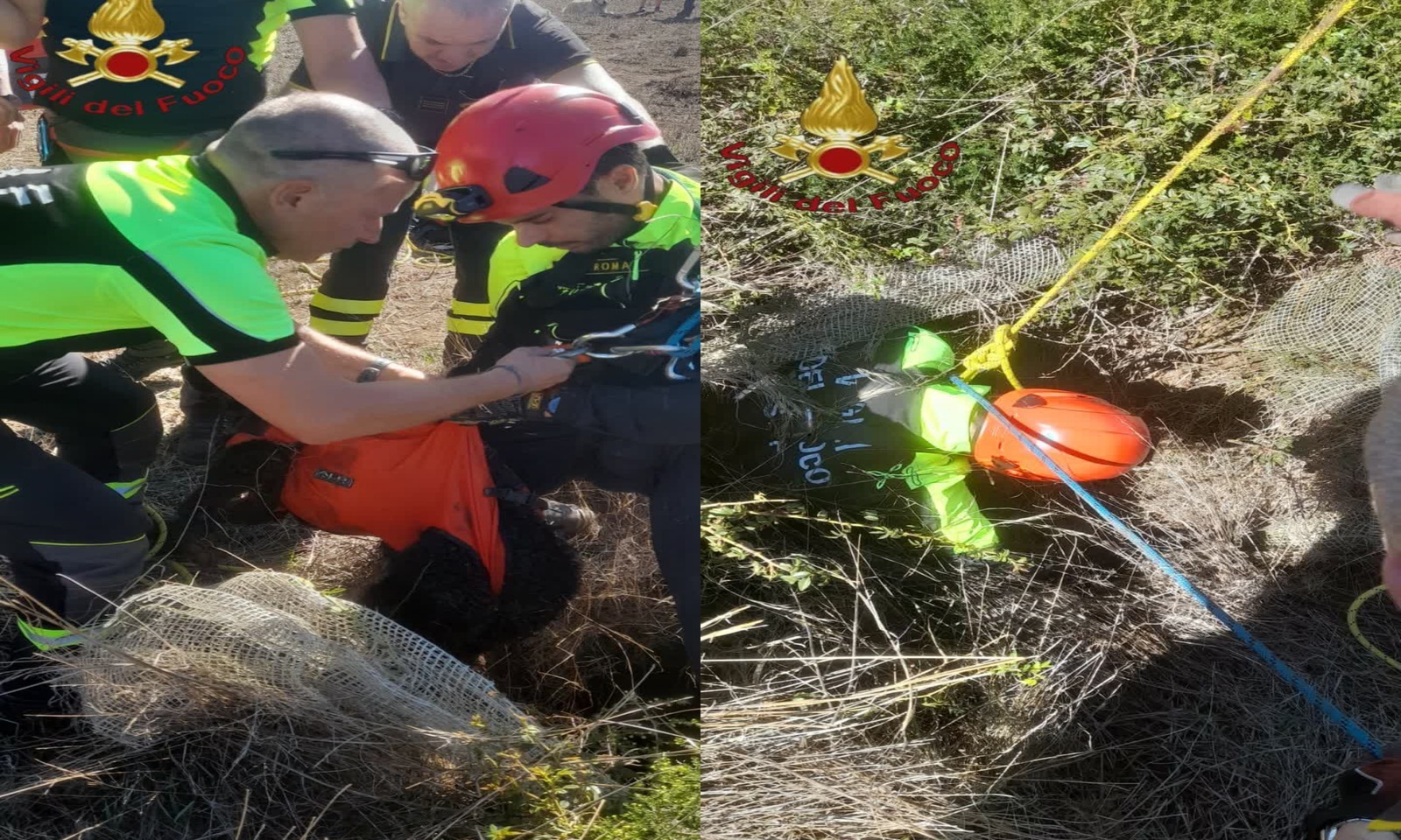 Cane caduto in un pozzo salvato dai vigili del fuoco