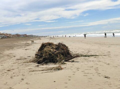 Spiagge invase di rifiuti 