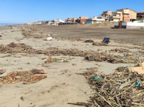 Spiagge invase di rifiuti 