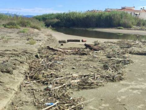 Spiagge del litorale invase di rifiuti