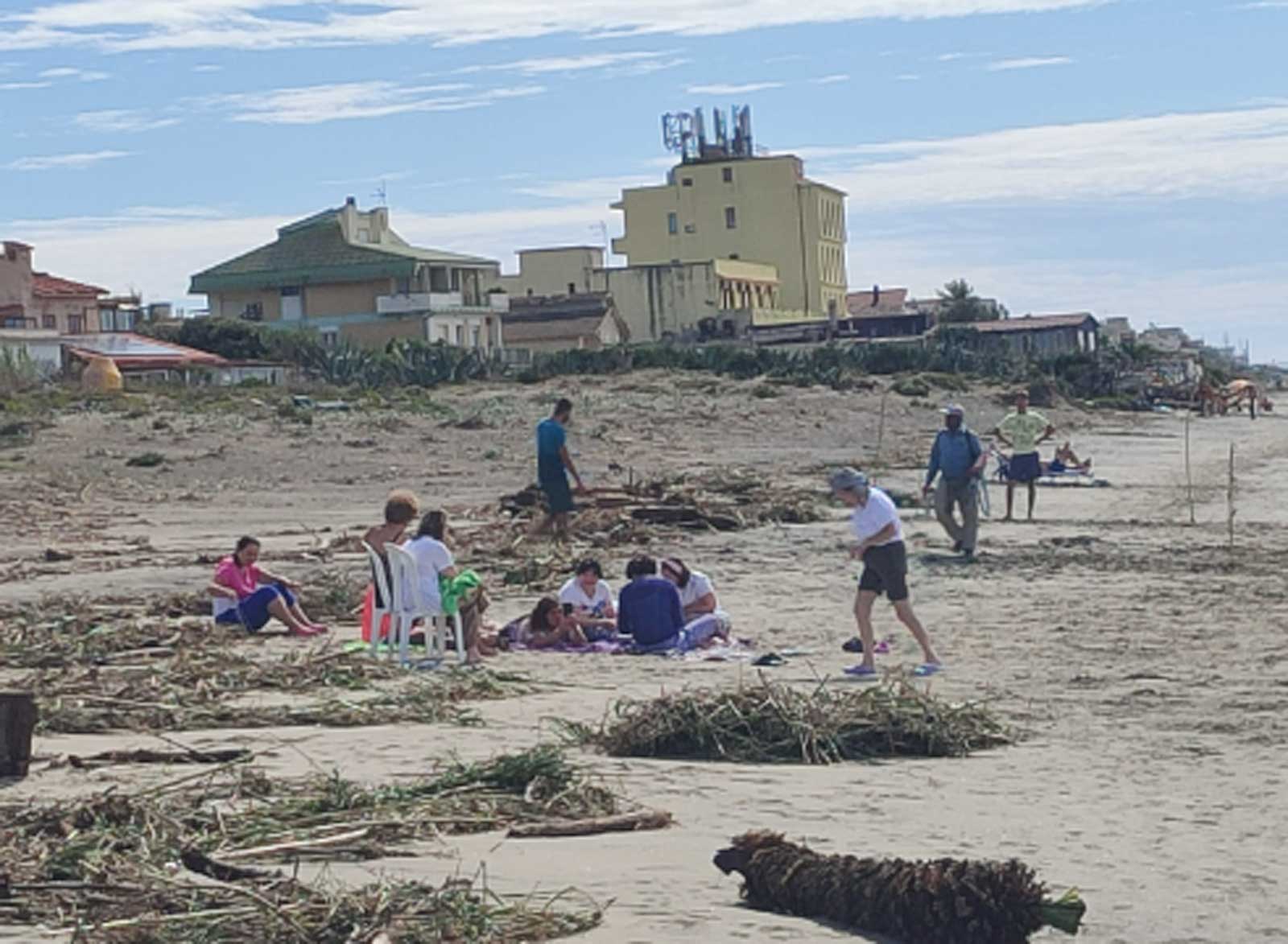 Spiagge invase di rifiuti tra Ardea e Torvaianica