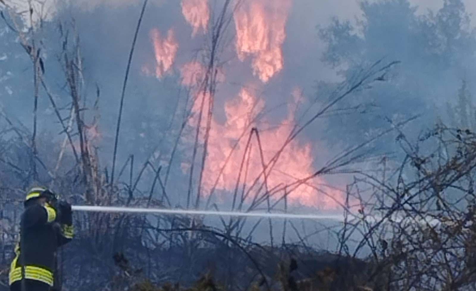 L'incendio di Pomezia