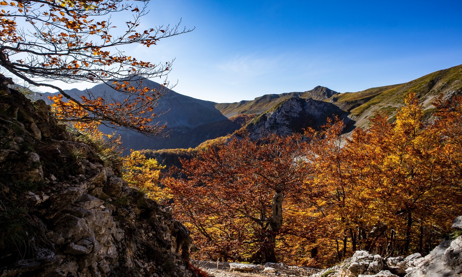 3 itinerari nel Lazio per vedere il foliage autunnale