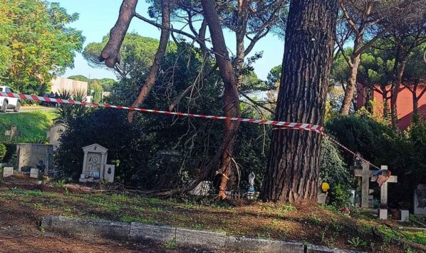 Degrado al Cimitero Flaminio, Prima Porta, Roma