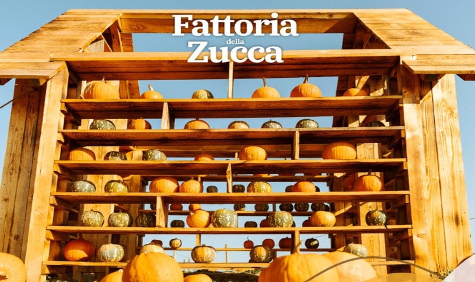 Fattoria della zucca a Roma