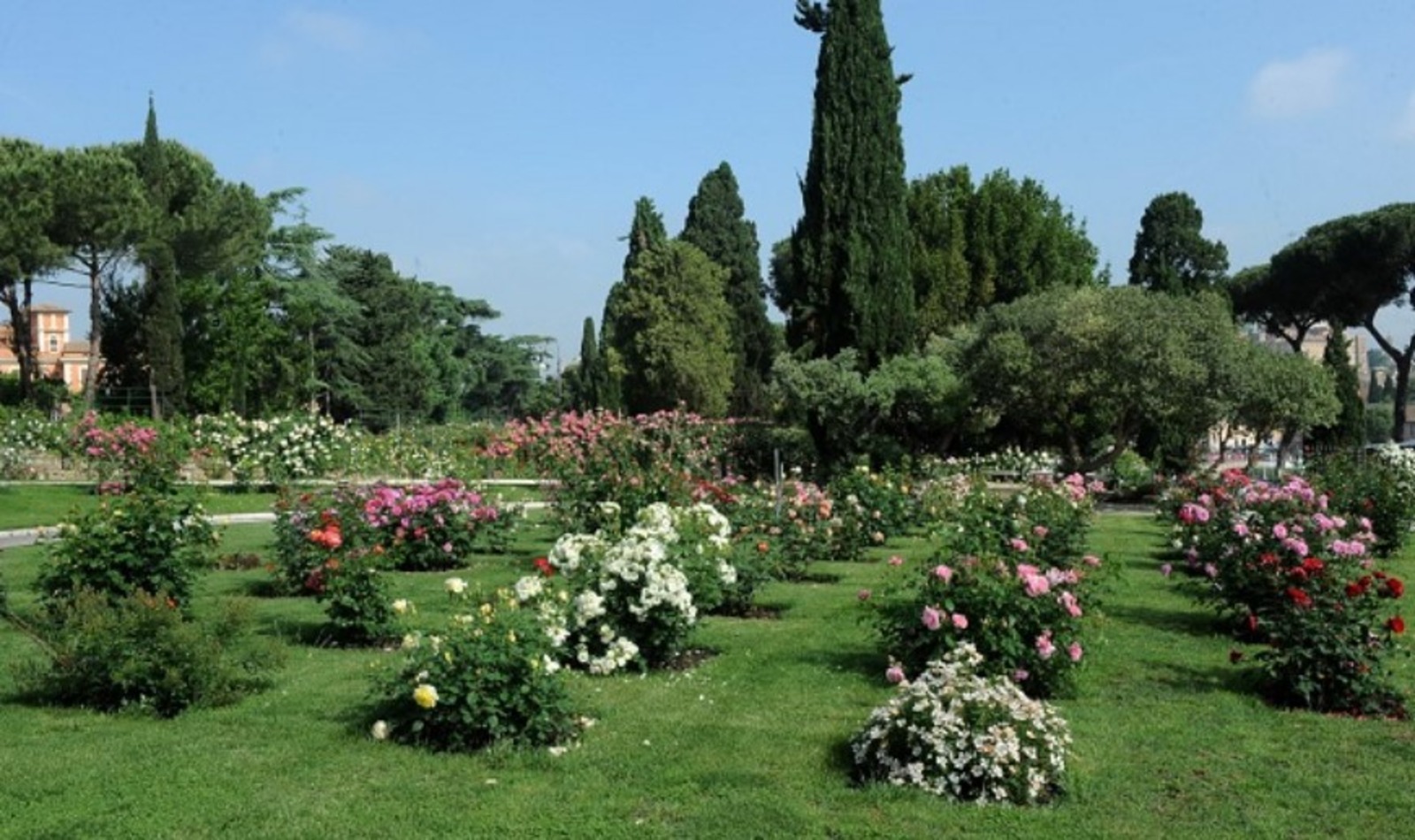 Roseto Comunale di Roma apertura ottobre