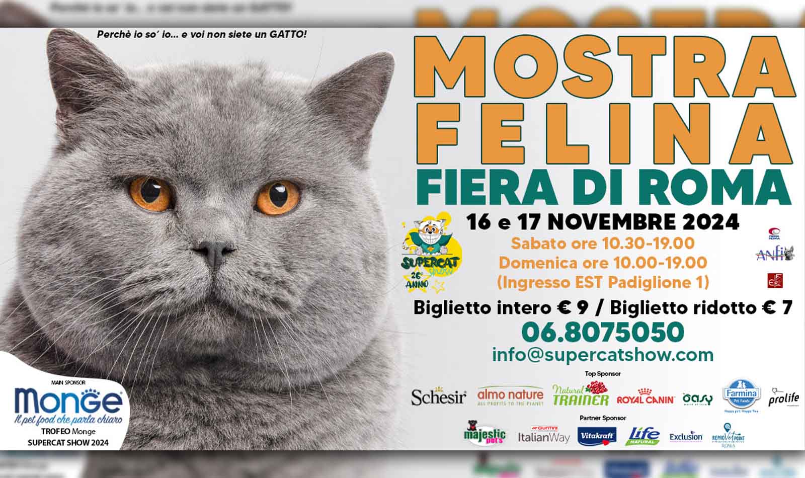 SuperCat Show 2024 Roma