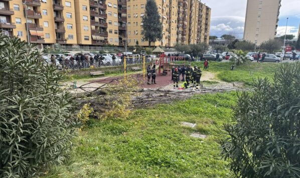 albero caduto a Roma a Colli Aniene