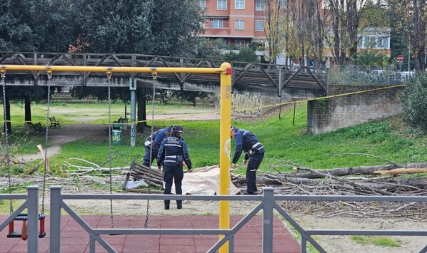 Francesca Ianni morta schiacciata dall'albero - 7colli.it