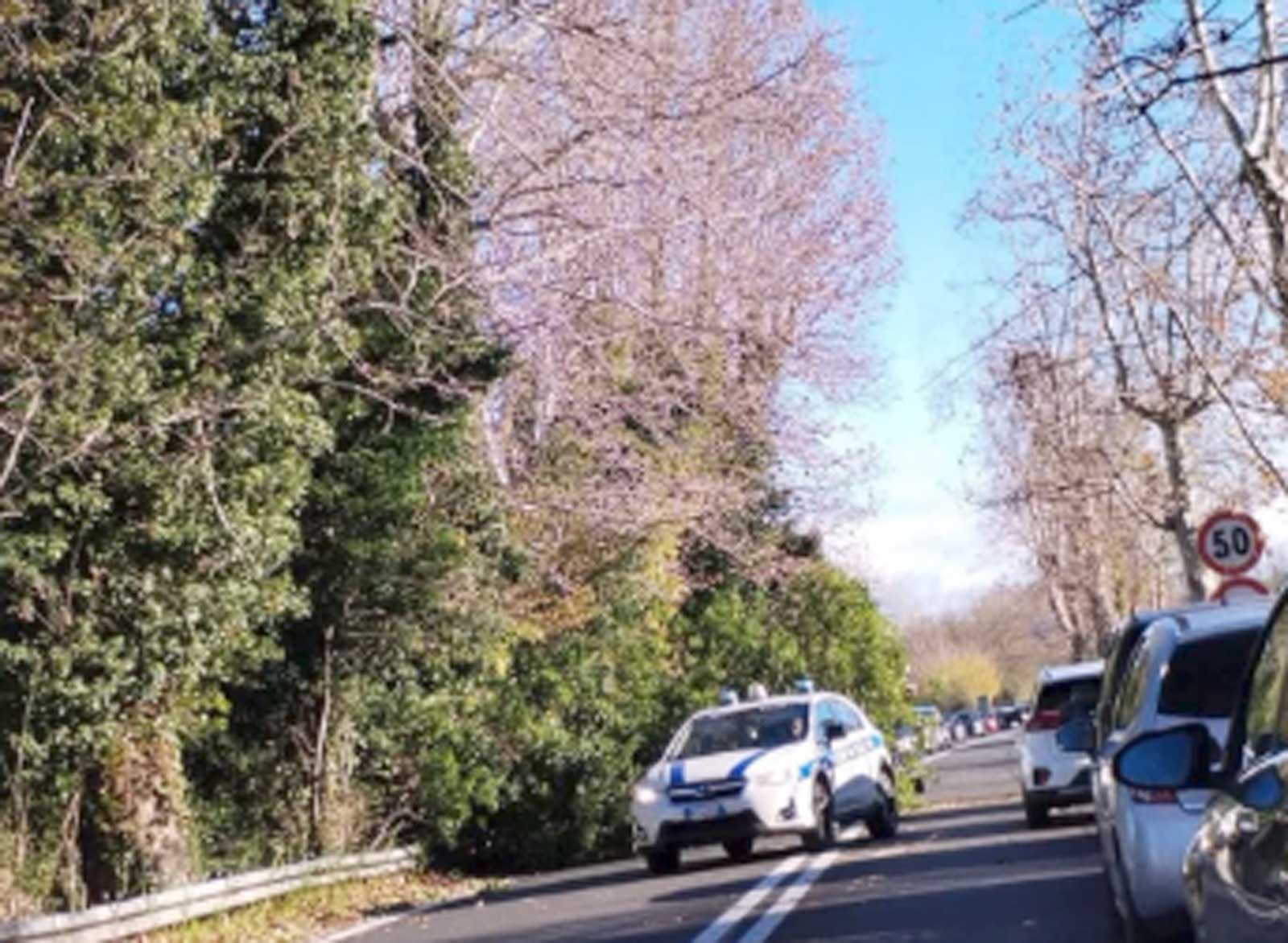 Foto Ostia Informa, l'albero caduto che ha bloccato la via del Mare