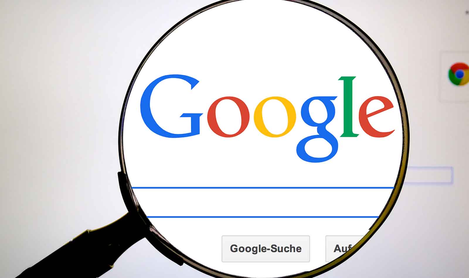 Quali sono le parole più cercate su Google nel 2024