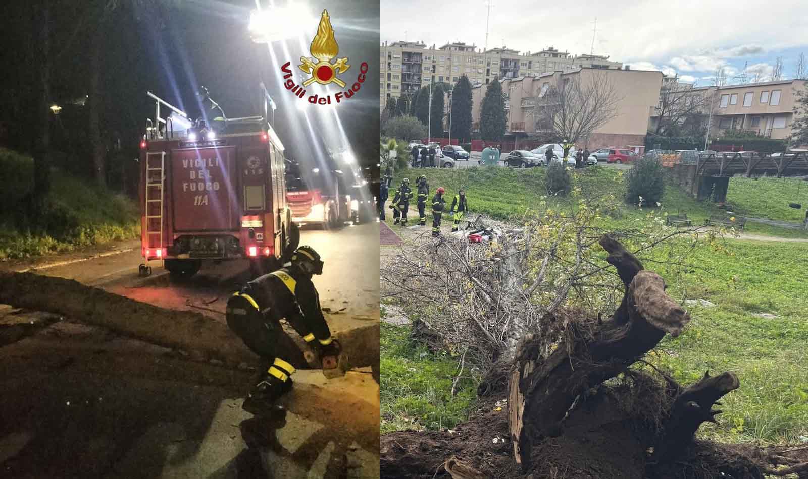 Roma, 90 interventi per alberi pericolanti in un giorno