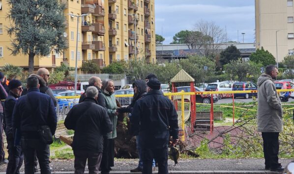 Francesca Ianni morta schiacciata dall'albero