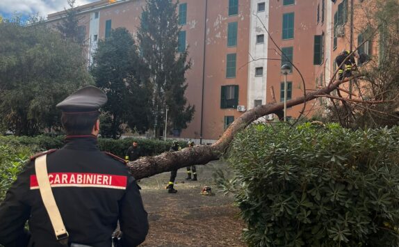 albero caduto a San Basilio Roma