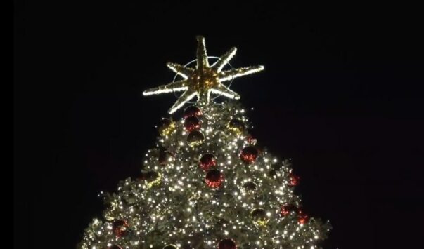 albero di Natale Piazza del Popolo