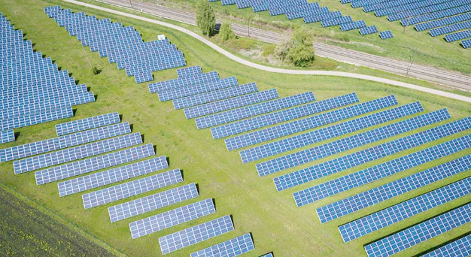 In foto un impianto agri-fotovoltaico come quello che presto potrebbe sorgere a Civitavecchia