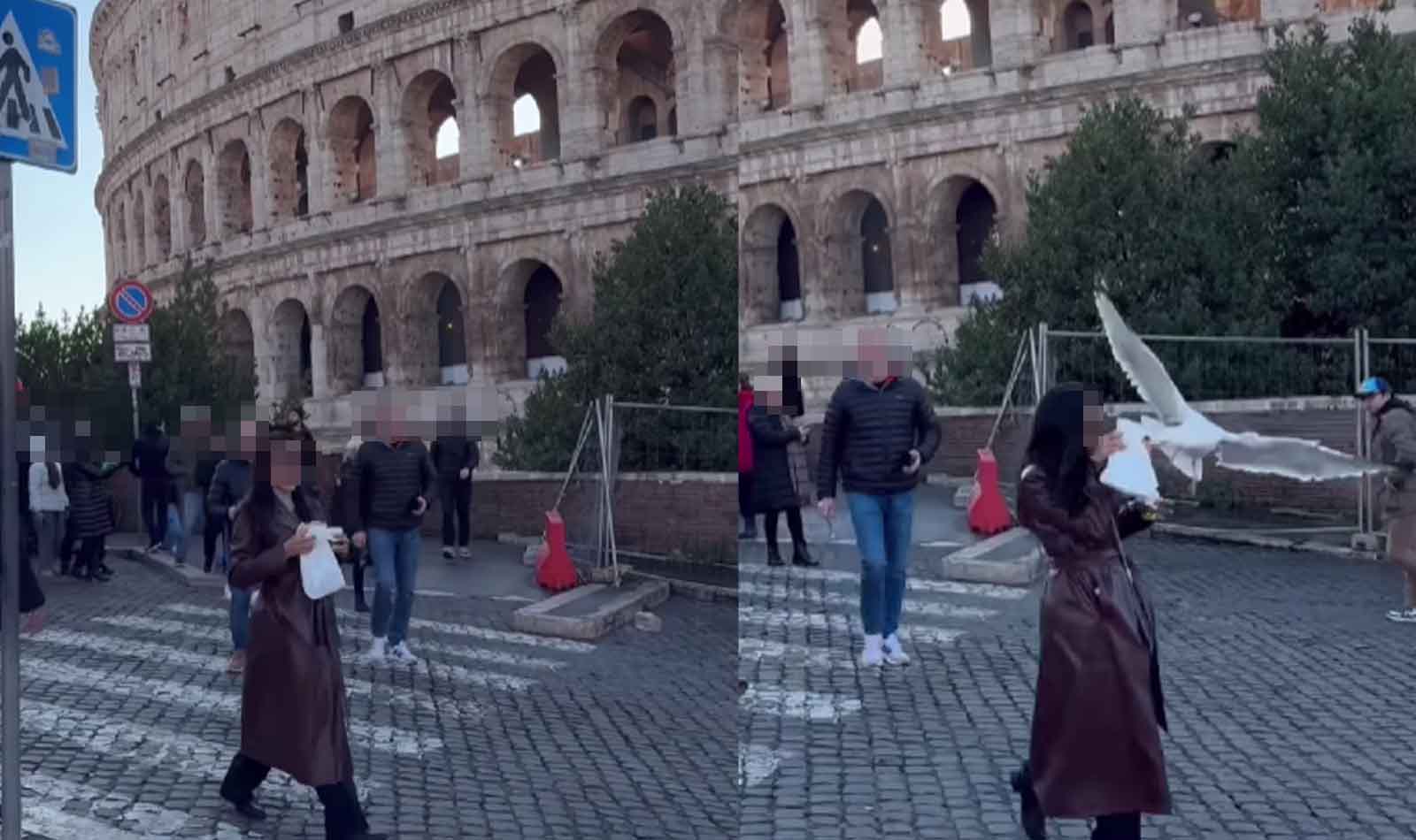 Roma borseggi e gabbiani al Colosseo