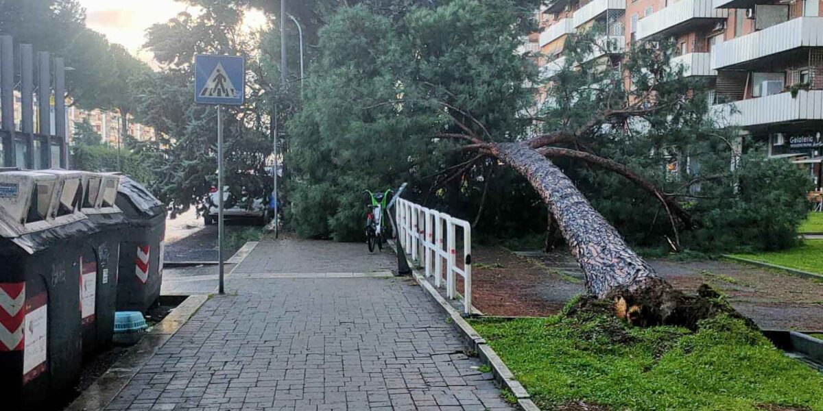 Roma, crolla un albero a Cinecittà Est