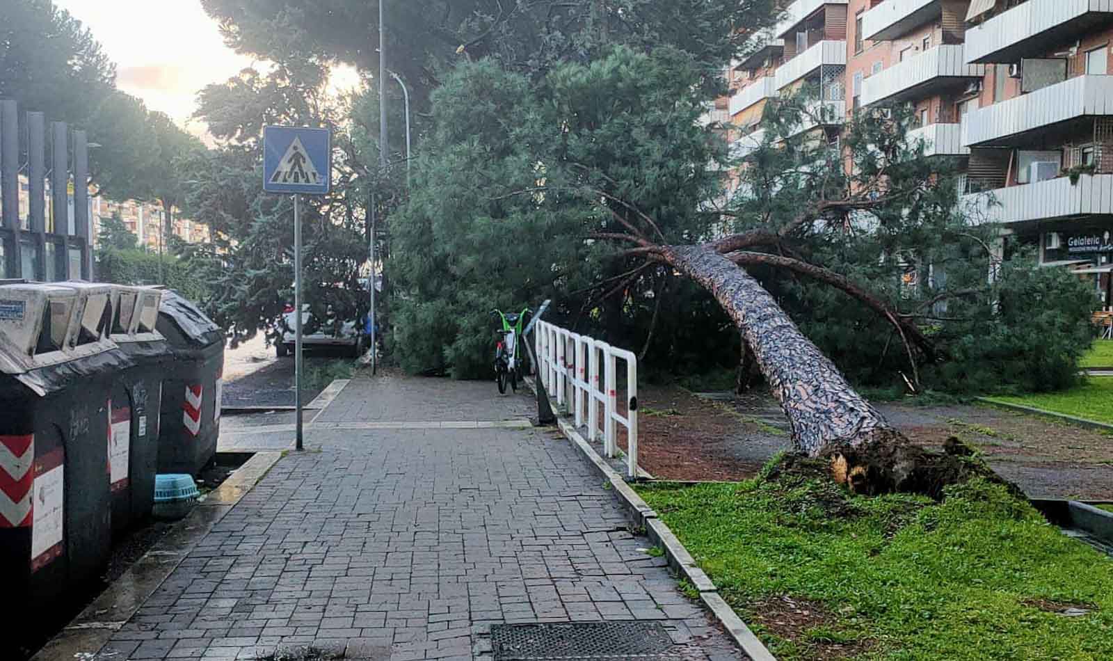 Roma, crolla un albero a Cinecittà Est